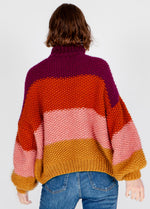 Rice Jumper Kit - Premium Version