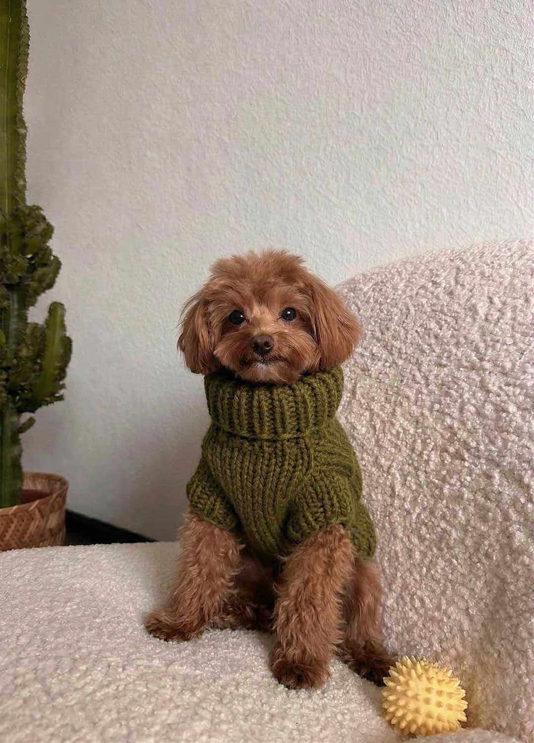 Scooby Sweater Kit for Pets - Yummy Version