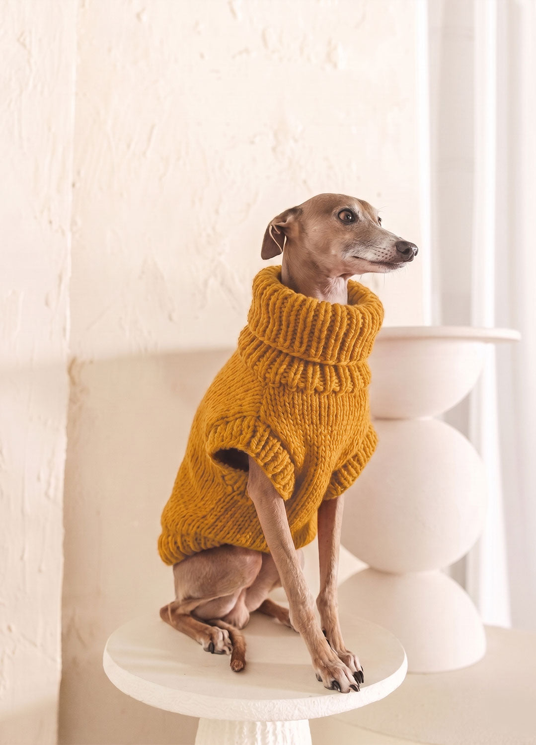 Scooby Sweater Kit for Pets - Yummy Version