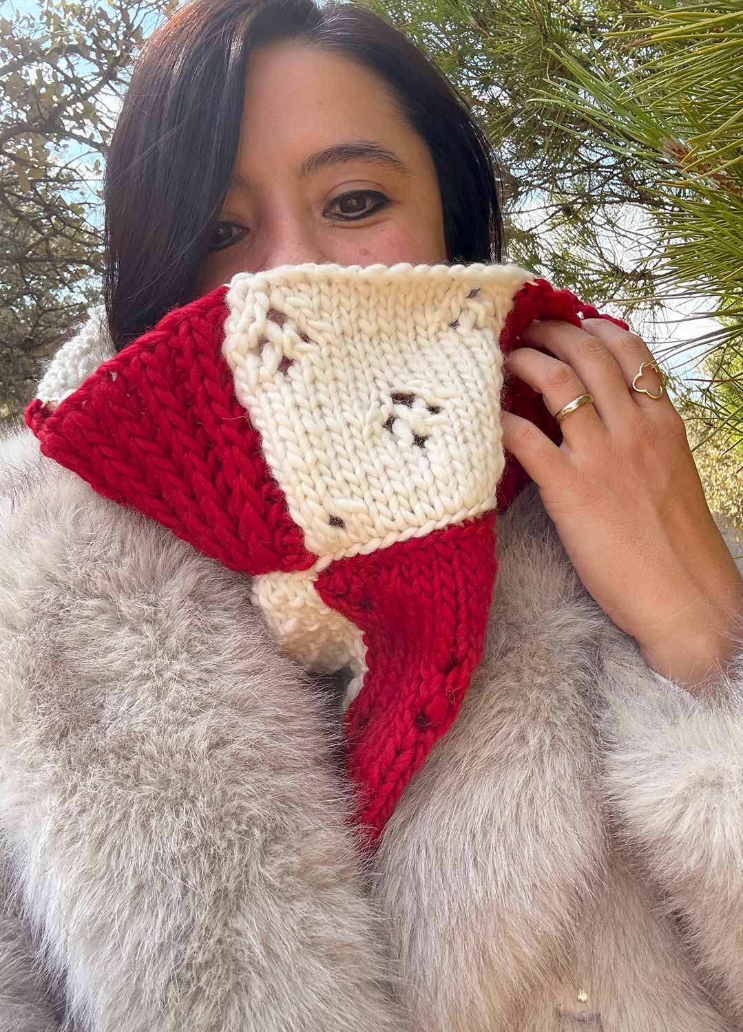 Stitch Sampler Holiday Knitting Kit: Learn The Basics